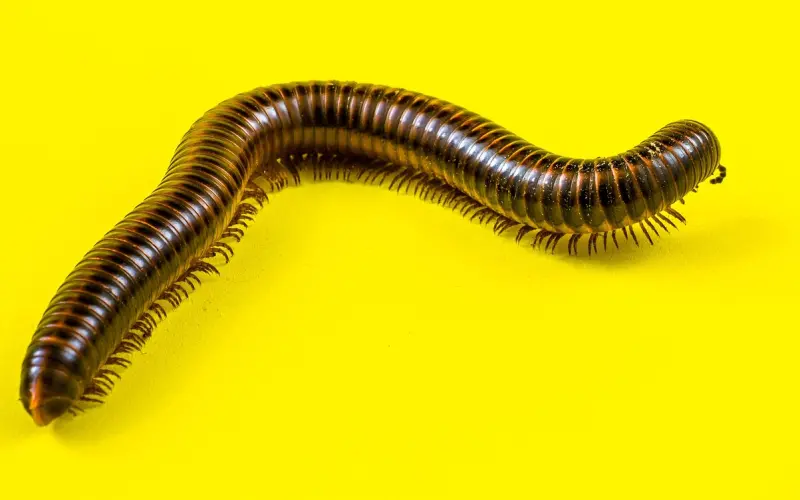 挽回一段感情，到底有多难？