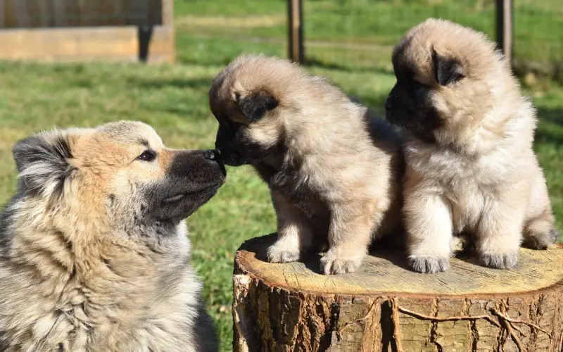 感情变淡了情侣如何回到热恋期
