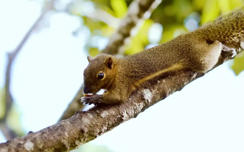 吃货情侣是怎样相处的？
