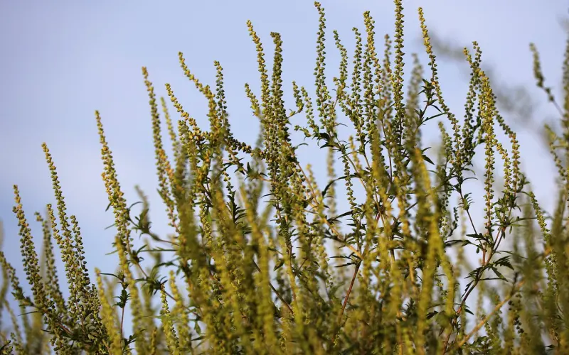 低价值的女生如何挽回男友