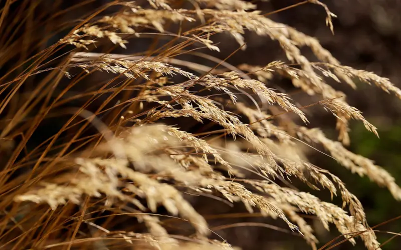 我的学员在mix是怎么样一步步干住妹子的