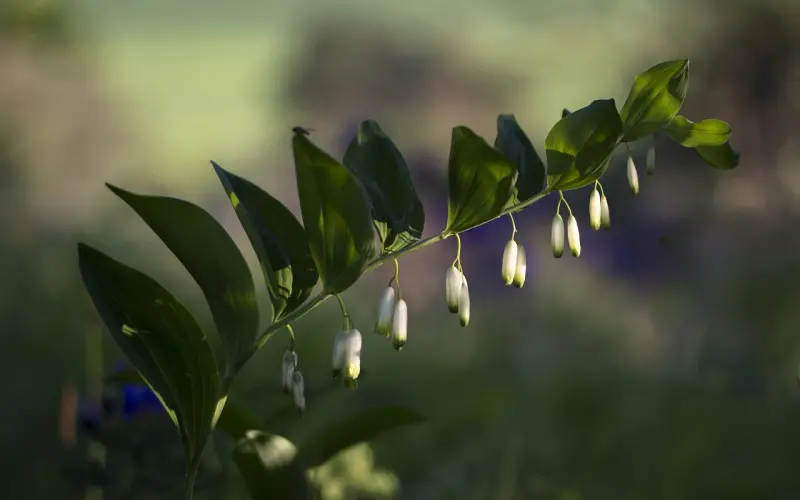 真正聪明的女人是如何处理公婆关系的？