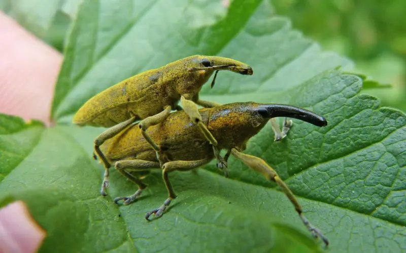 分手之后同性怎么挽回感情，les挽回绝招