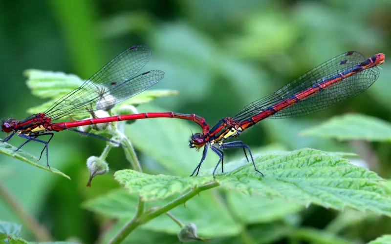 分手初期如何忍住不主动找他？