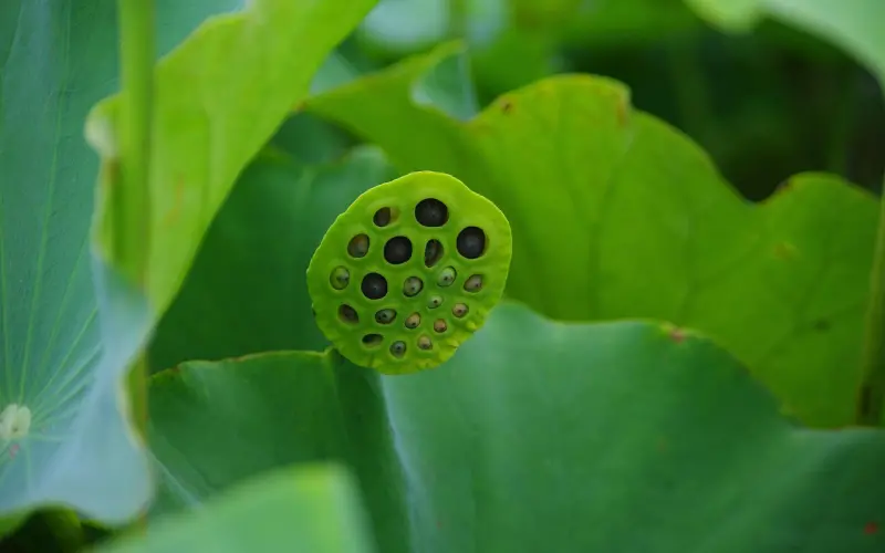 被呵护的感觉，到底有多爽？