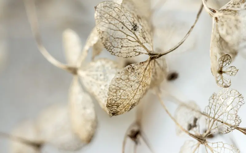 我是如何作死极品女友的！