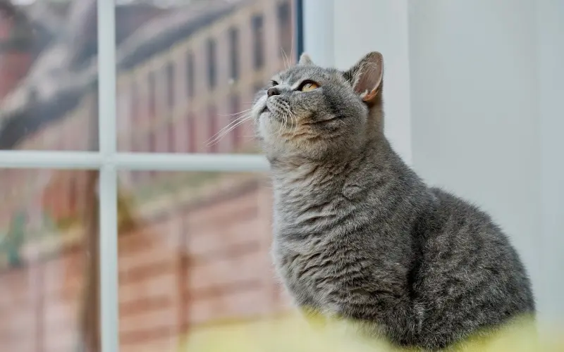 情人冷静多久可以去挽回  分手了该怎么挽回