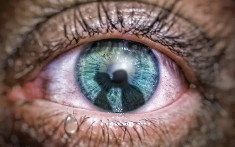 你被「北上广深不相信眼泪」，骗了多久？