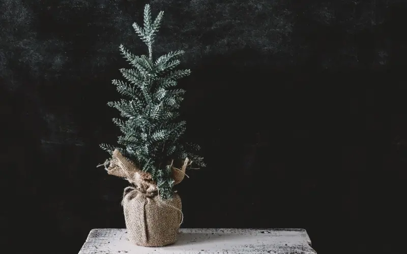 12星座的恋爱保鲜期是多久？