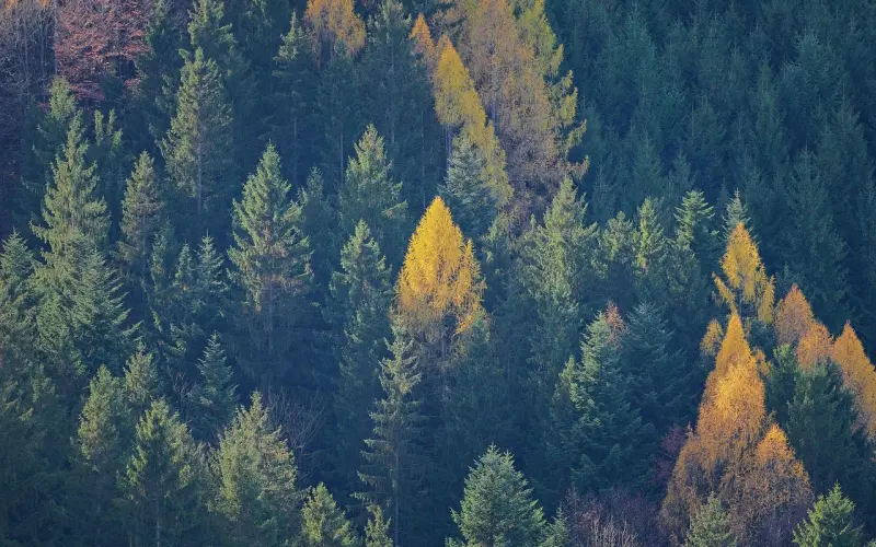 多少婚姻，毁于一句“理所应当”