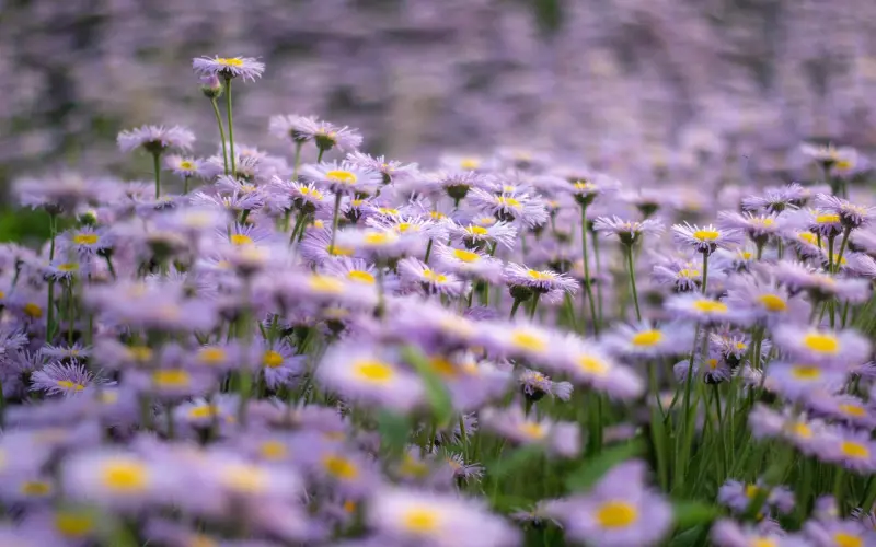 分手的痛有多痛？