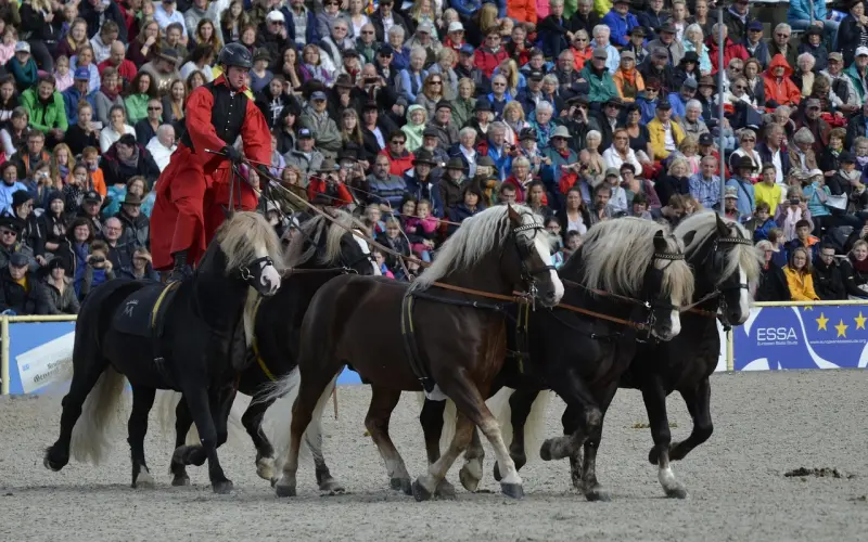 被男友分手了应该怎么挽回？5个有效方法，让你重返爱情巅峰！