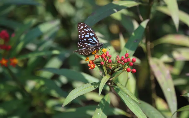 老公有婚外情该如何挽回？遭遇婚变，丈夫出轨，聪明妻子这样去挽救婚姻