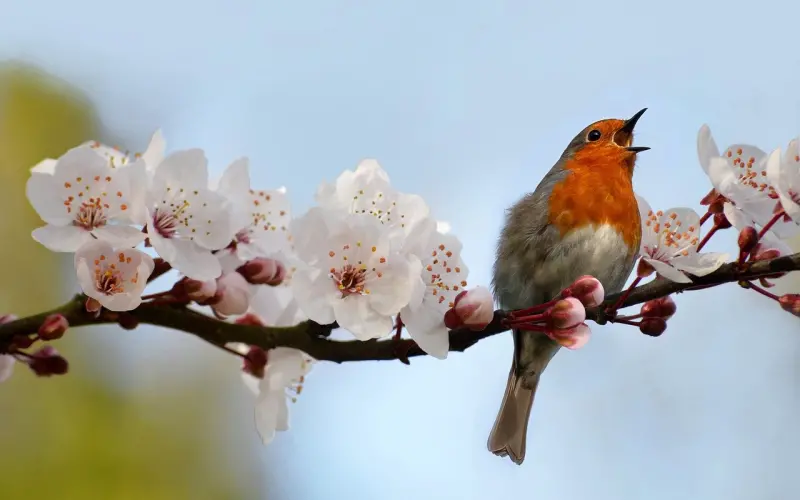 挽回中改变了，我该如何展示？