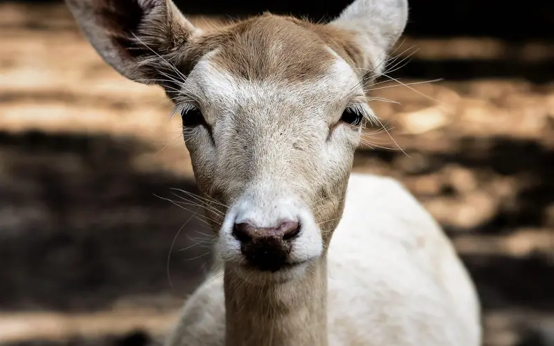 面对PUA，女性该如何自我保护