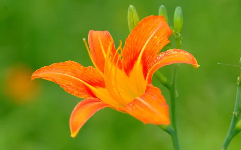 聪明的女人是如何智斗小三