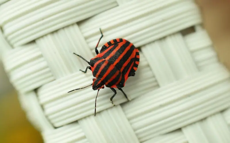 你的内心有多强大？来看看你具备了几条