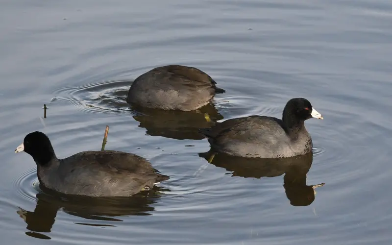 在爱情里测试忠诚度到底多傻逼？