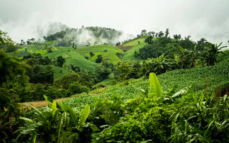 三观不同的人在一起，究竟有多累？