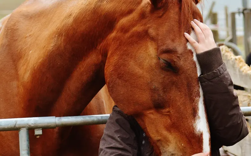 怎样撒娇才让人怜爱而不是作呕？