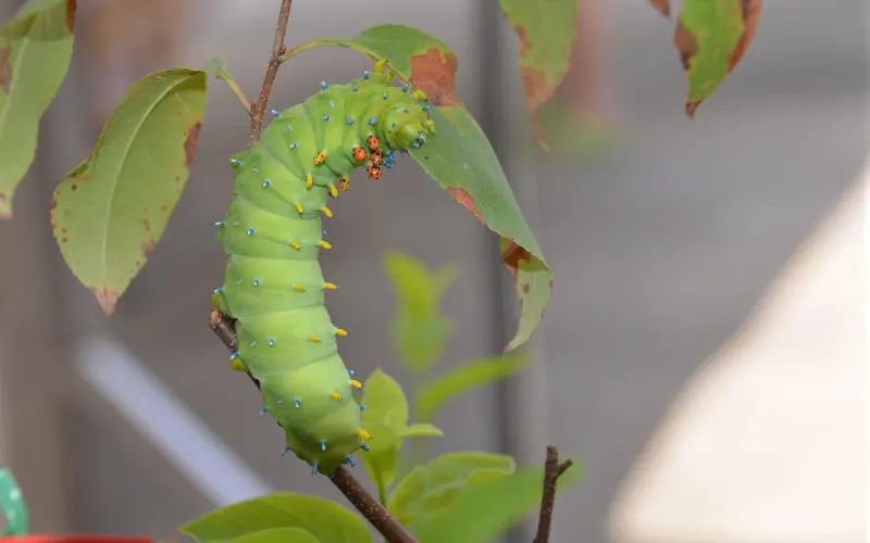 向前男友道歉的话该怎么说