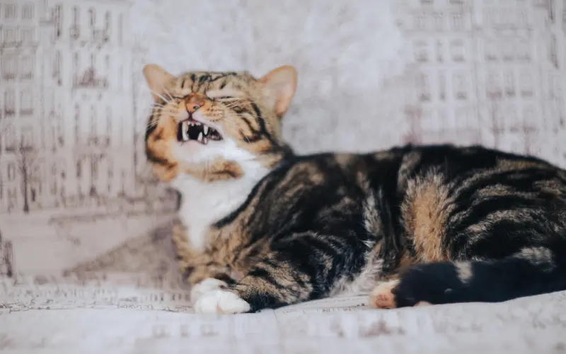 如何很自然地引起喜欢男生的注意？