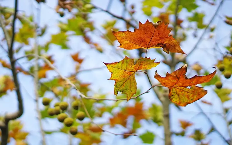 怎样二次吸引前男友 尝试写写挽回信