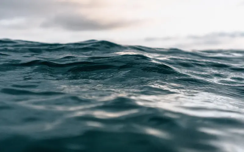 废物测试怎么破？