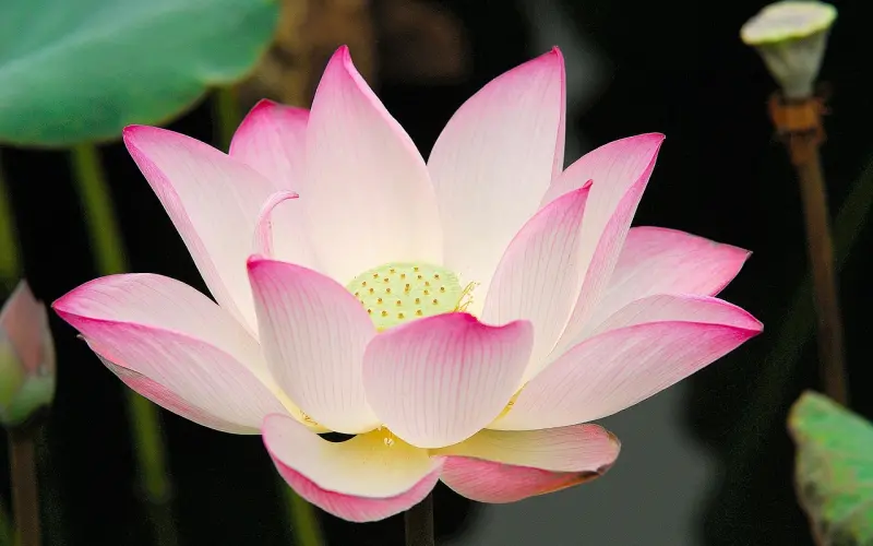 如何打造一个高质量的人脉圈？