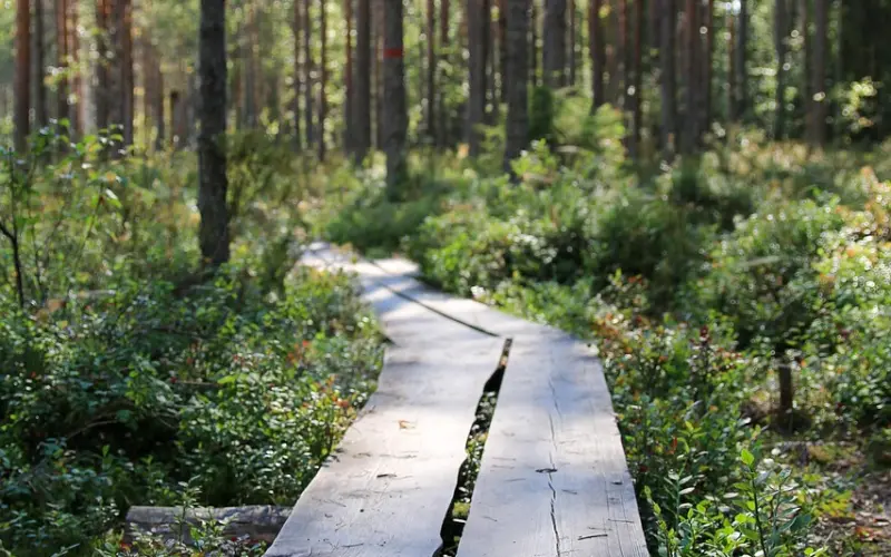 怎么追男生？学会五个技巧让你轻松撩到男神