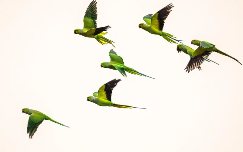 怎么追女生：追女生都有哪些方法和技巧