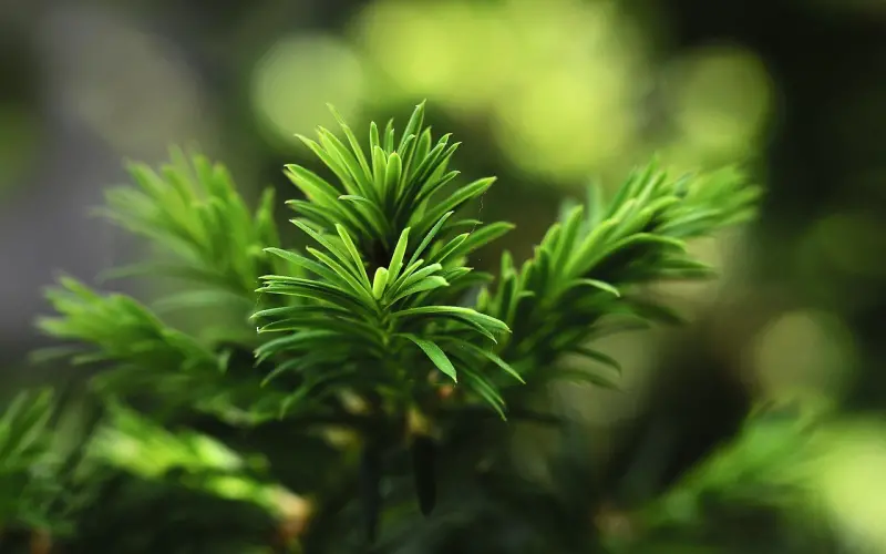 挽回爱情期间怎么聊天