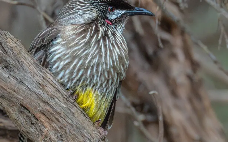 闺蜜老公出轨怎么安慰