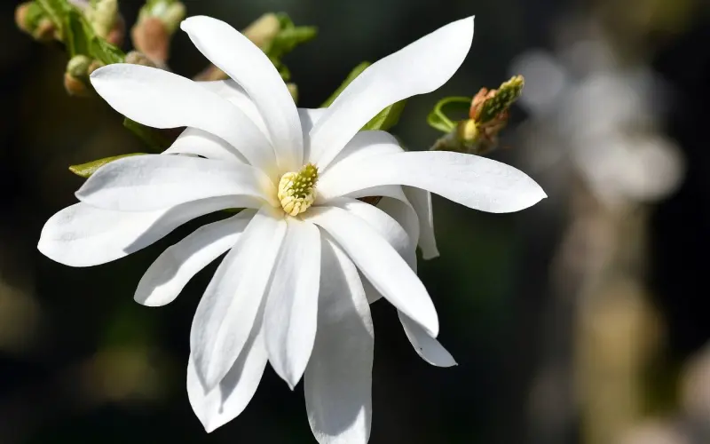 恋爱中保姆型的人该如何逆袭！