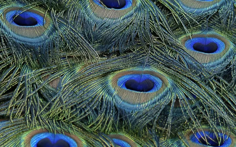 怎么约会？这些细节很重要