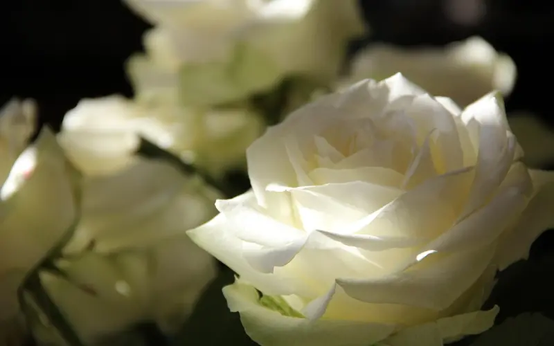 如何应对老公出轨之错误的挽回方法