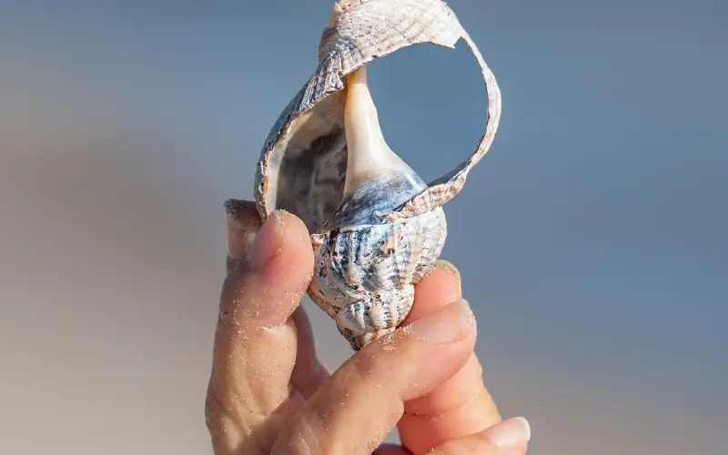 约会时如何轻松自然牵女生的手？