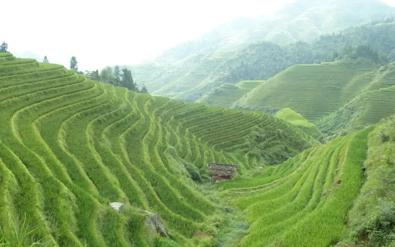 如何追回一个已经拒绝你的女生？