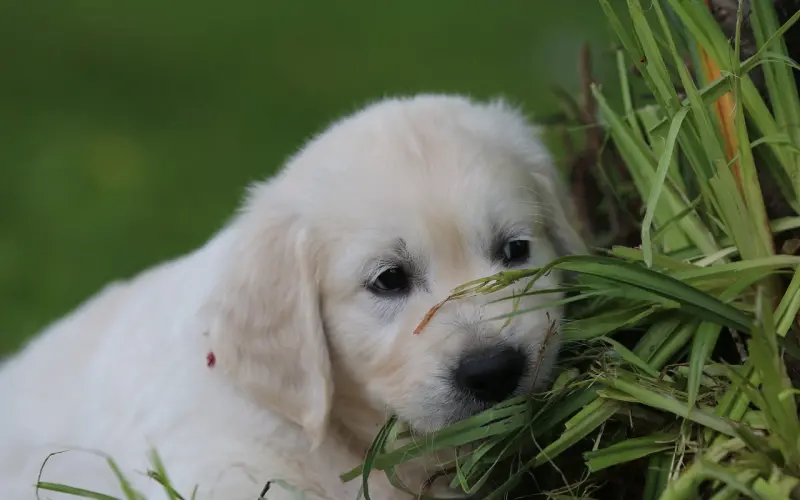 怎么和断联的前男友取得联系