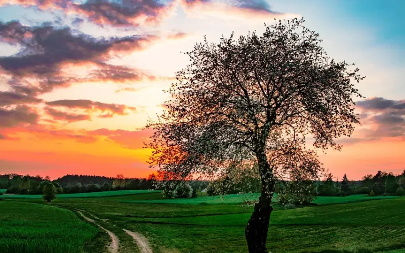 怎样挽回男朋友：三个方法，让他回你身边