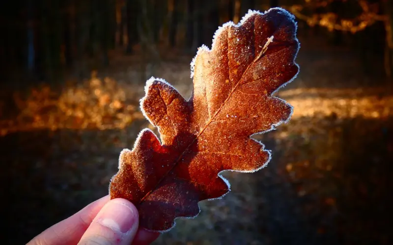 如何通过一封信挽回前任？