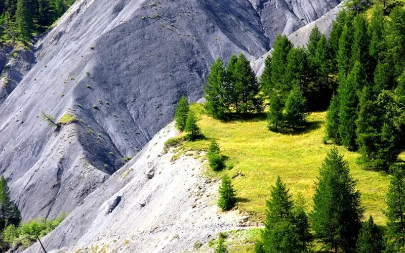 怎样挽回前男友：这几招让你学以致用