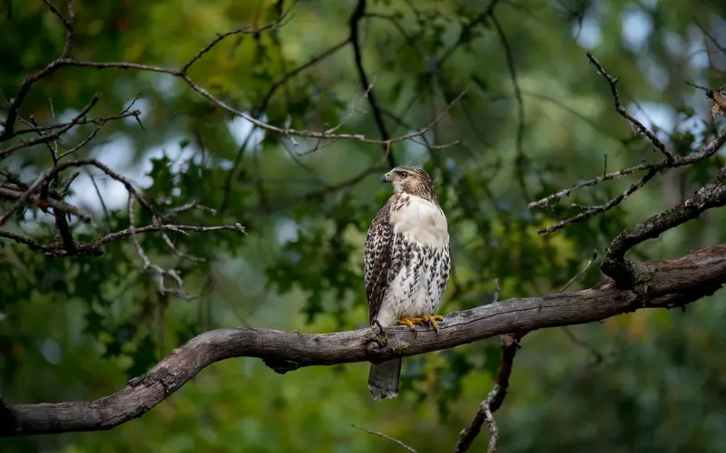 如何挽回前女友，三大高效办法助你挽回
