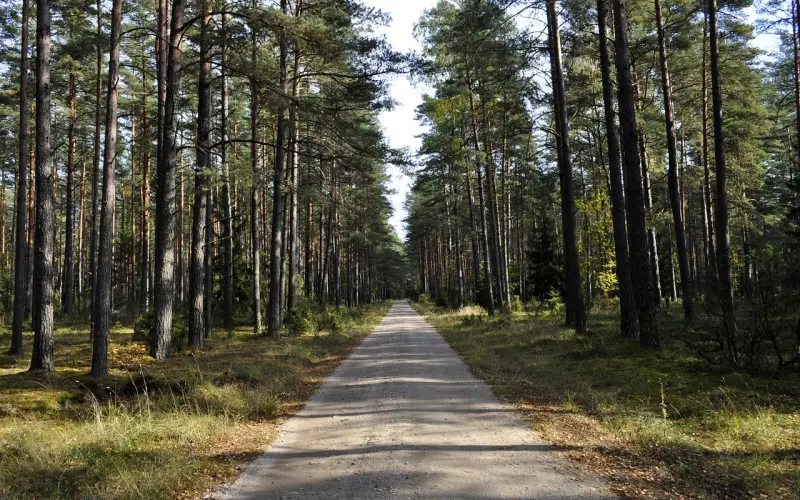如何挽回女朋友，分手后轻松挽回女友的方法