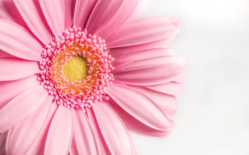 如何有爱有幸福，让你的事业与众不同？