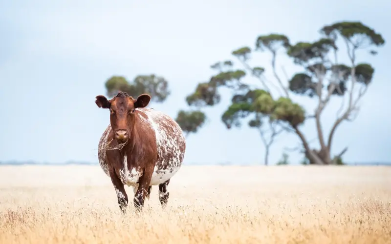如何在婚姻中掌握话语权？