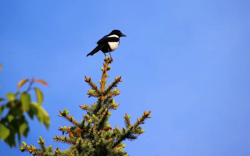 如何挽留对你绝望的女朋友？如何度过疲倦期