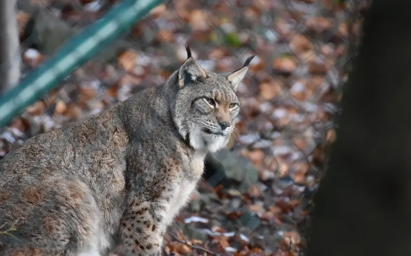 怎样让爱情保鲜？简单几点让你读懂男人心，收获爱情！