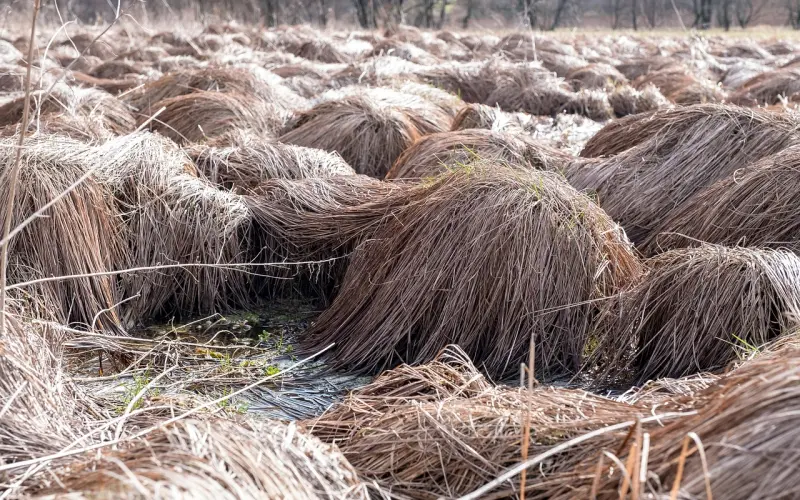 怎么挽留男朋友，不想分手怎么挽回，高效挽回爱情的方法