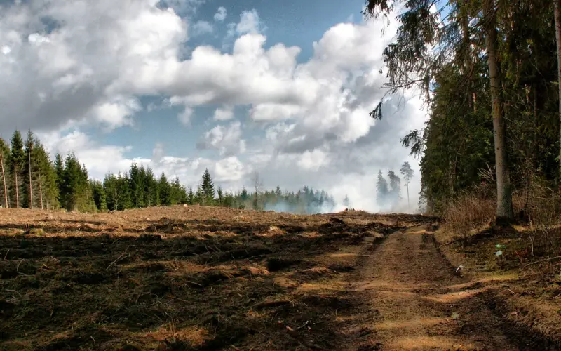 维持长期恋爱关系方法